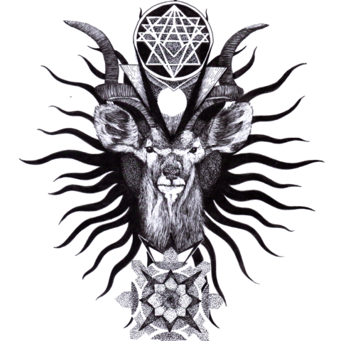 ilustracion venado Original