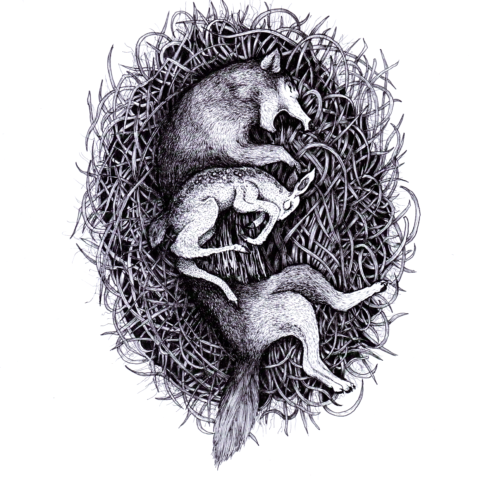 Cuadro Lobo y conejo