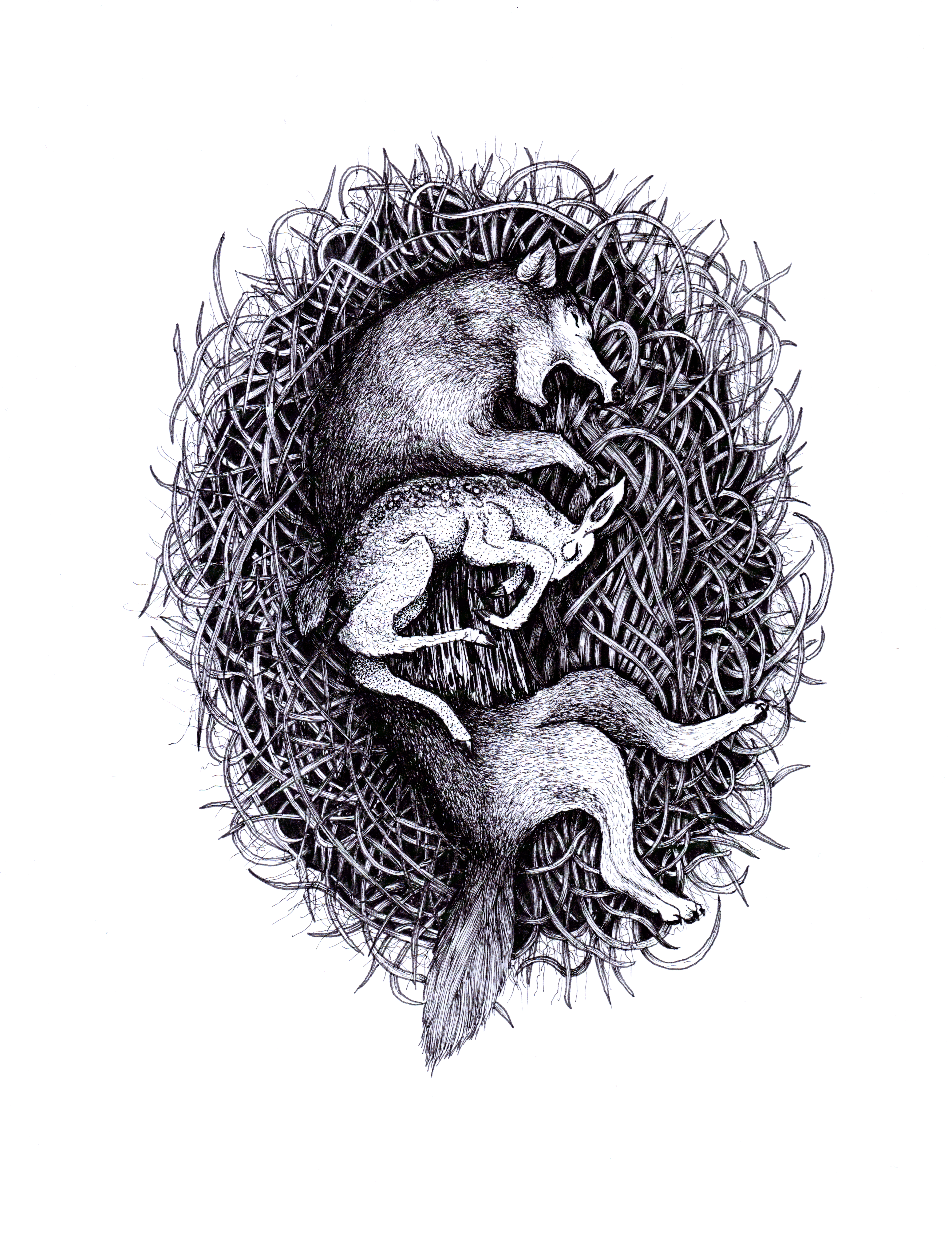 Cuadro Lobo y conejo