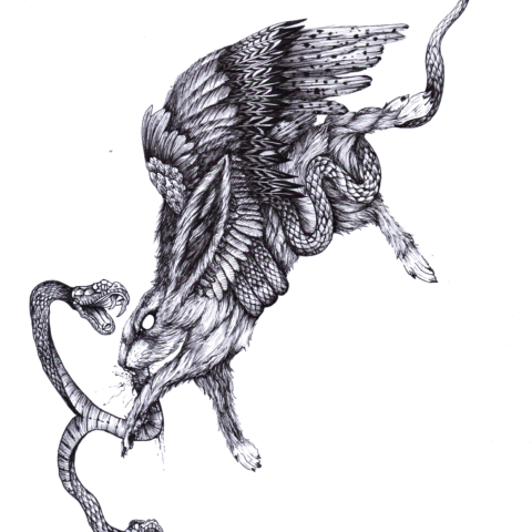 Ilustracion Liebre Original